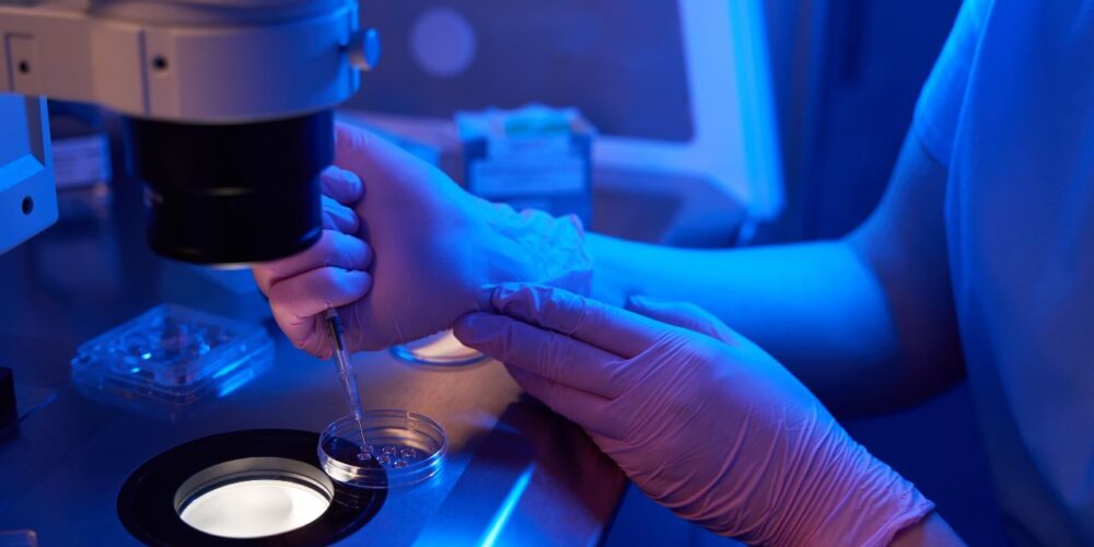 Óvulo humano generado en laboratorio a partir de células de la piel.