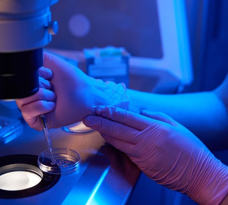 Óvulo humano generado en laboratorio a partir de células de la piel.