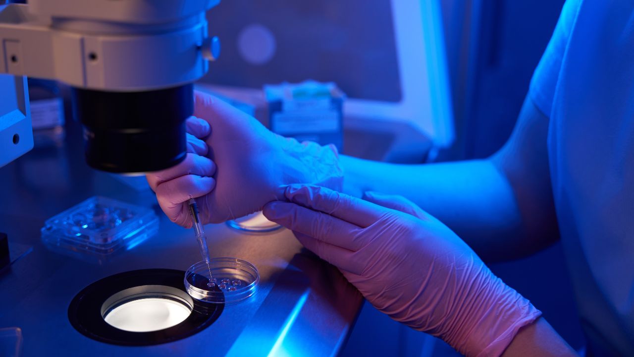 Óvulos humanos creados con células de piel: un futuro posible