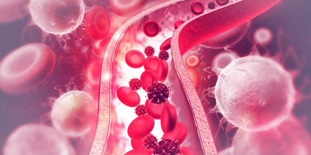 Ilustración de células cancerosas desplazándose por vasos sanguíneos hacia otros órganos