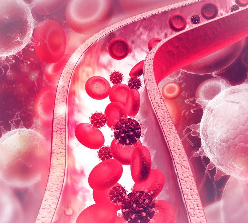 Ilustración de células cancerosas desplazándose por vasos sanguíneos hacia otros órganos