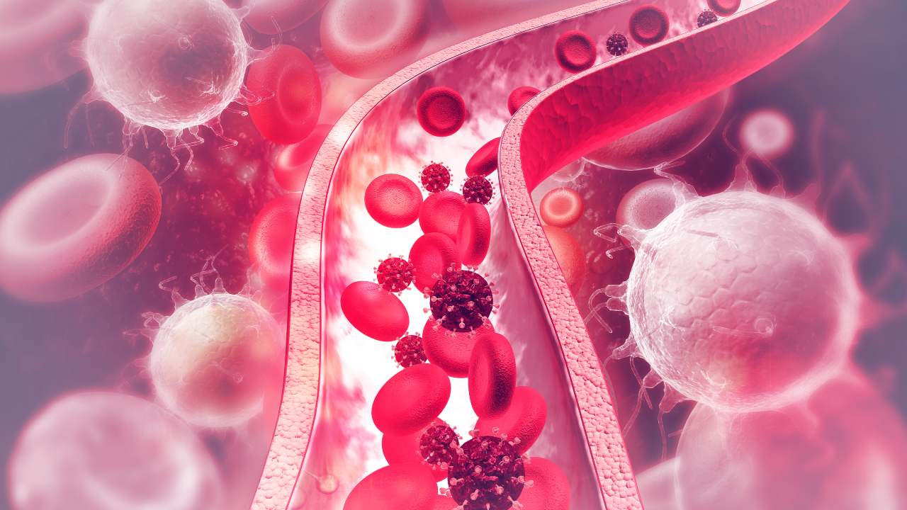 Metástasis: cómo frenarla y los avances más prometedores