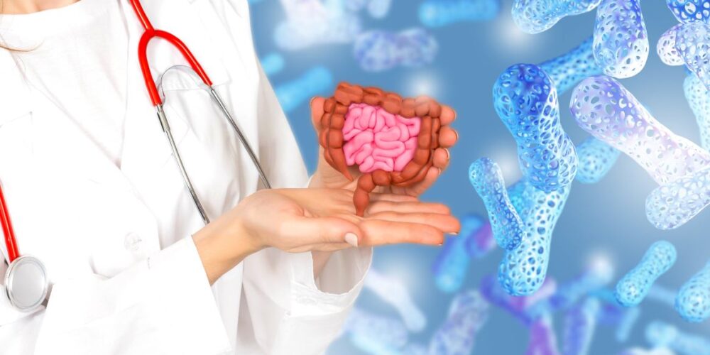 Representación del intestino y la microbiota en las manos de una persona