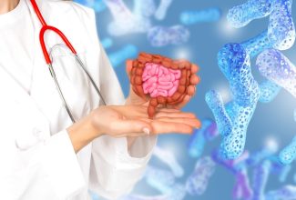Representación del intestino y la microbiota en las manos de una persona