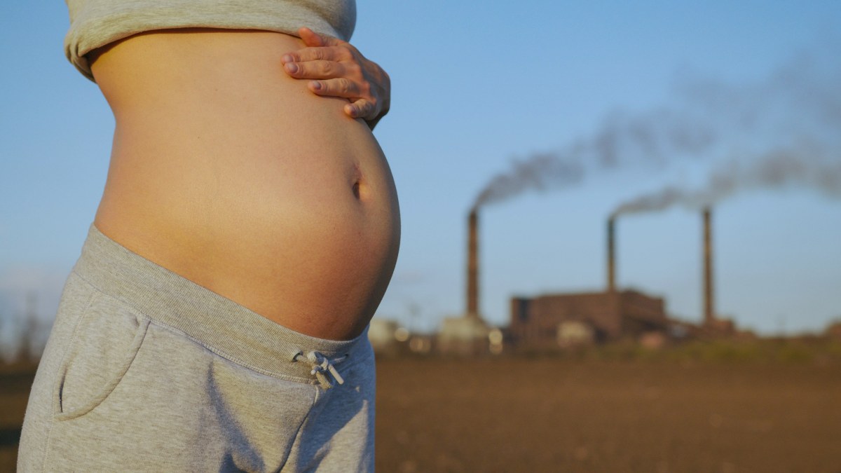 Contaminación y embarazo: lo que revela un estudio sobre autismo