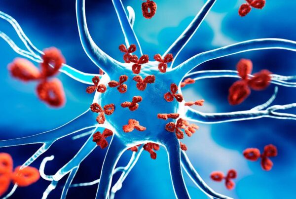 Representación del sistema inmunitario atacando células del propio cuerpo