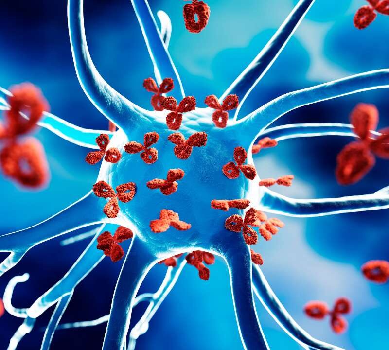 Representación del sistema inmunitario atacando células del propio cuerpo