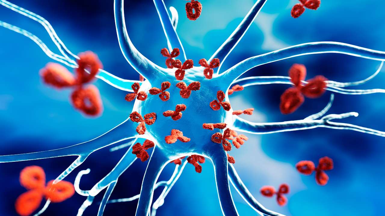 Enfermedades autoinmunes: señales que no debes ignorar