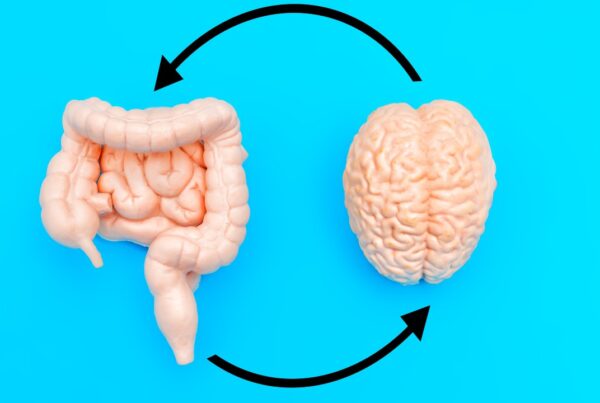 Ilustración del eje intestino-cerebro