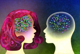 Ilustración del cerebro mostrando diferencias en actividad genética entre hombres y mujeres