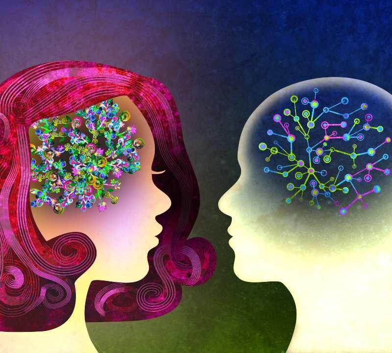 Ilustración del cerebro mostrando diferencias en actividad genética entre hombres y mujeres