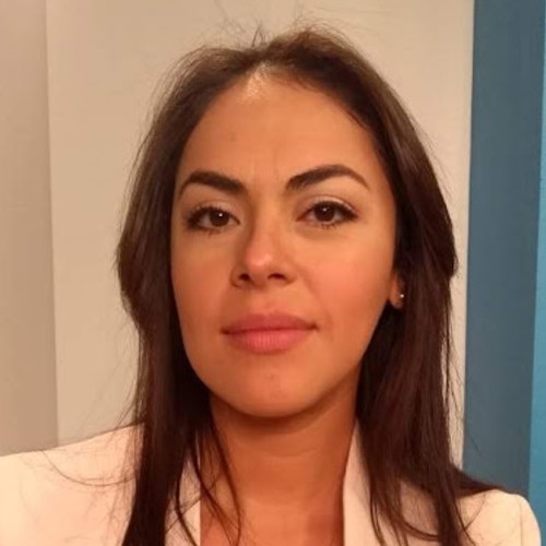 Diana N. Fuentes Medina