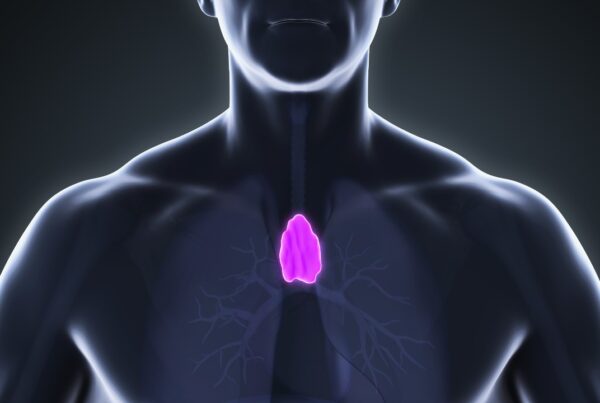 Ilustración del timo en el pecho humano mostrando su ubicación y función en el sistema inmunitario