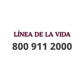 Línea de la vida