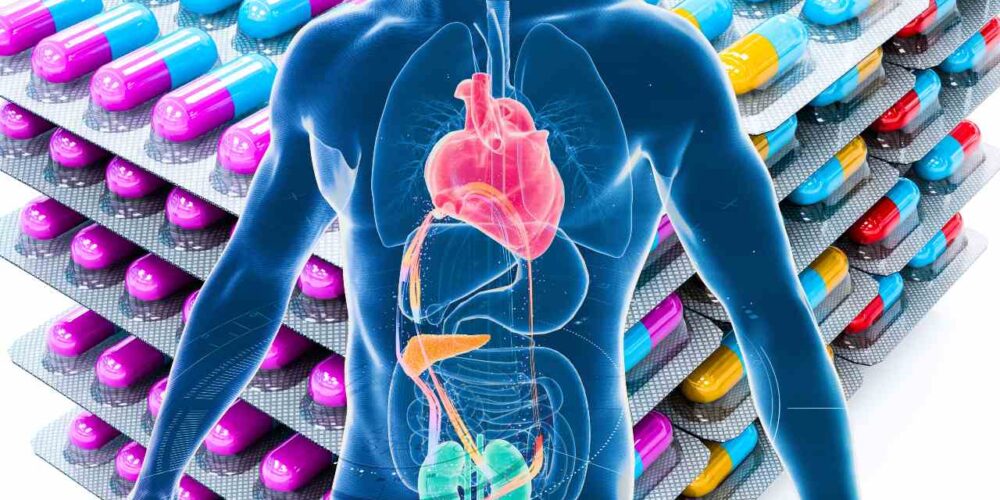 Ilustración del cuerpo humano mostrando la conexión entre corazón, riñones y metabolismo