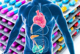 Ilustración del cuerpo humano mostrando la conexión entre corazón, riñones y metabolismo