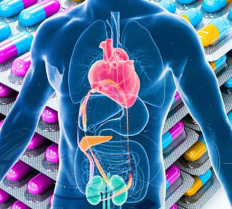 Ilustración del cuerpo humano mostrando la conexión entre corazón, riñones y metabolismo