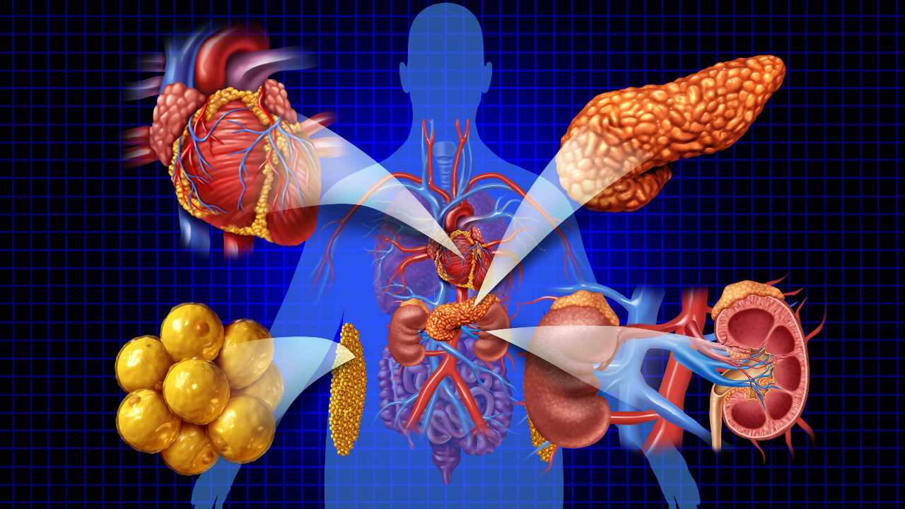 Síndrome corazón, riñón, metabolismo: alerta silenciosa