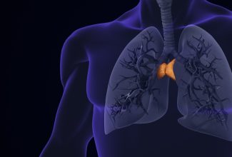lustración que muestra qué es el el timo, dónde está en el cuerpo humano y su relación con el sistema inmunitario
