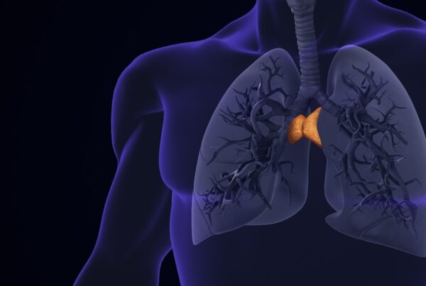 lustración que muestra qué es el el timo, dónde está en el cuerpo humano y su relación con el sistema inmunitario