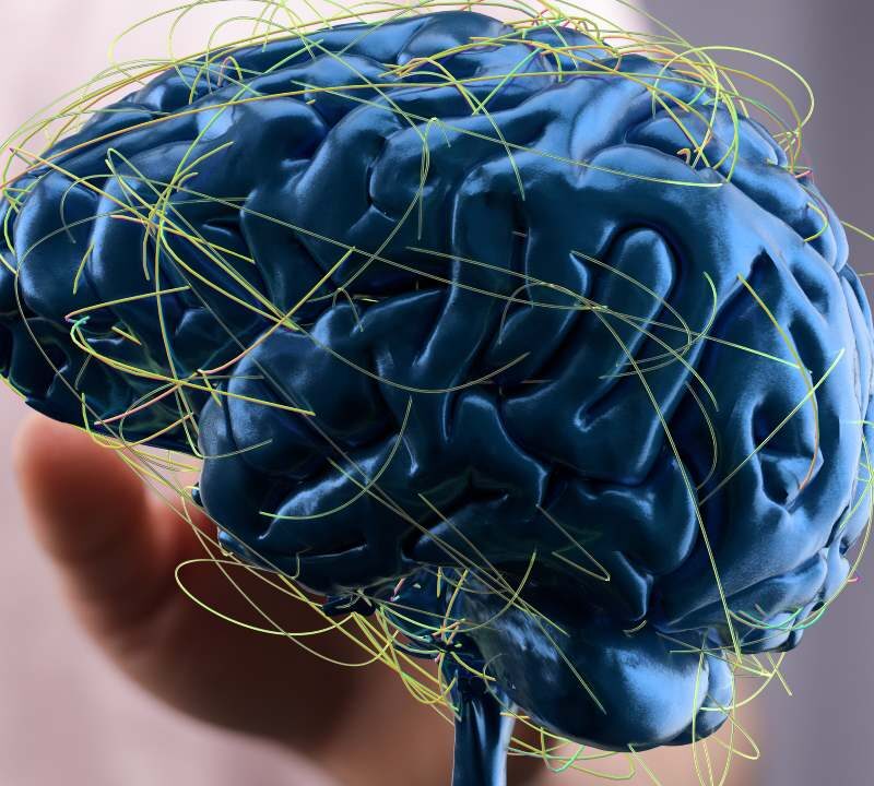 Desarrollo del cerebro en la infancia en síndrome de Down y redes neuronales