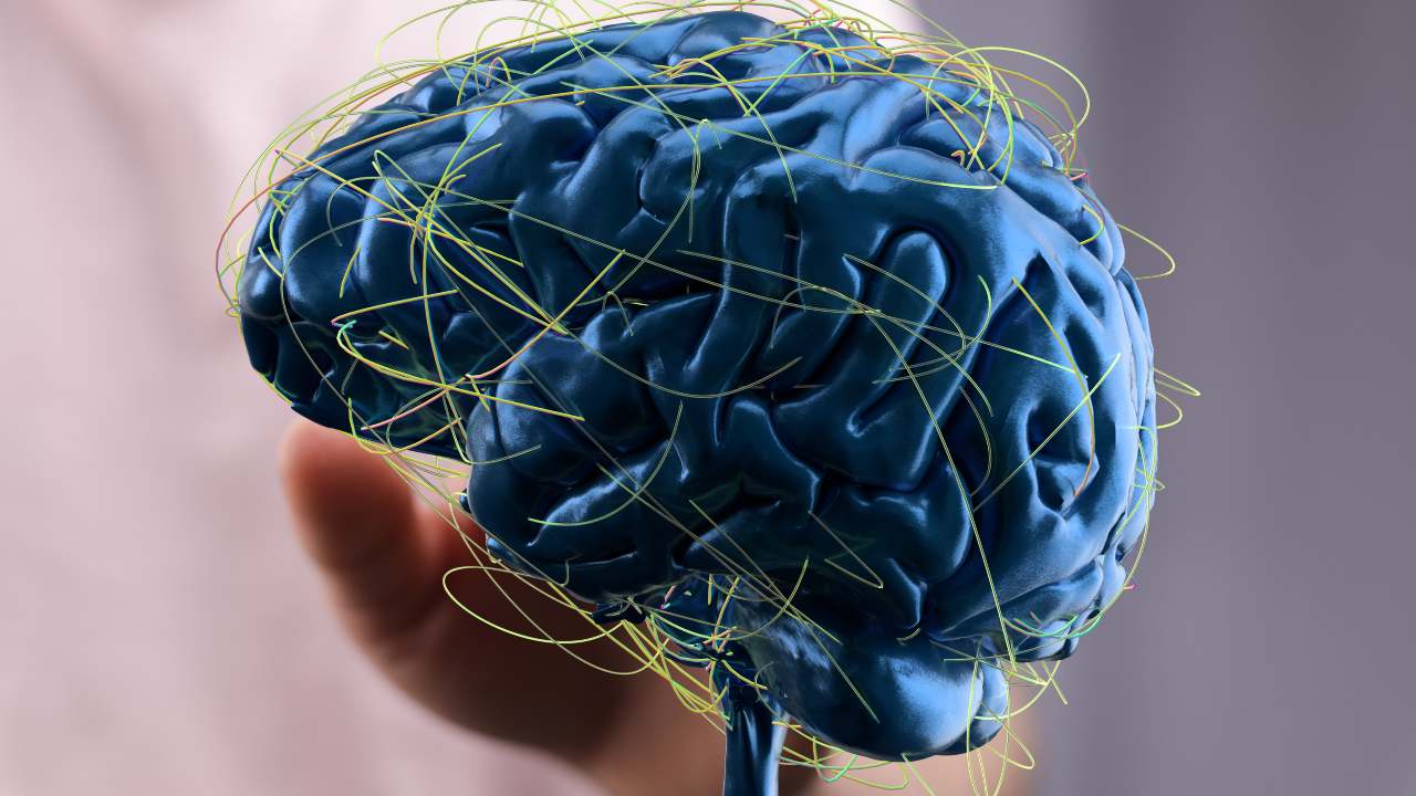 Cerebro y síndrome de Down: claves desde la infancia