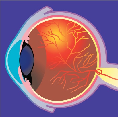 Las enfermedades de la vista – resumen