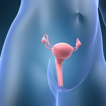 Descubren un tratamiento nuevo para el cáncer del ovario