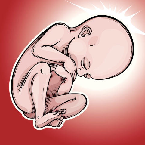 Embarazo: el sexto mes