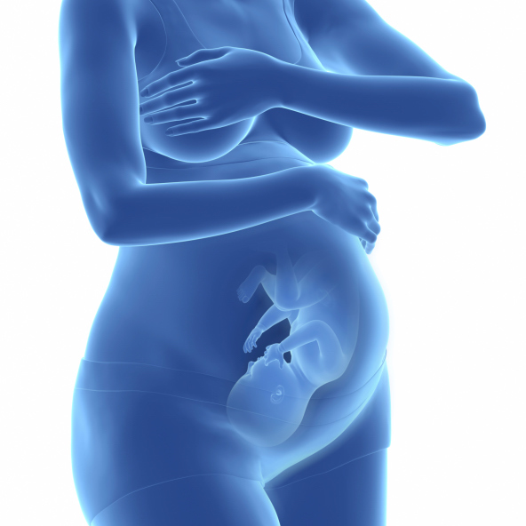 Embarazo: el noveno mes