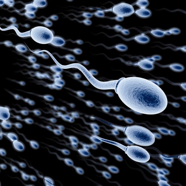 ¿Qué es la cuenta baja de espermatozoides?