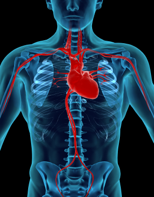 8 Consejos para reducir el riesgo de desarrollar la enfermedad de las arterias coronarias (del corazón)