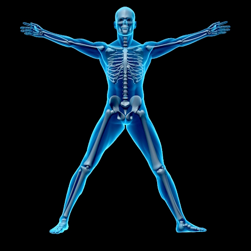 El ejercicio: una forma estupenda de fortalecer huesos y articulaciones